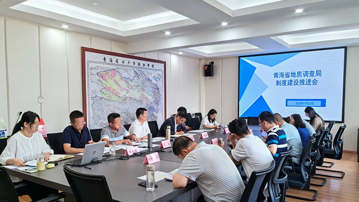 近日，我司与青海省有色地质矿产勘查局达成的门户网站建设项目正式交付上线